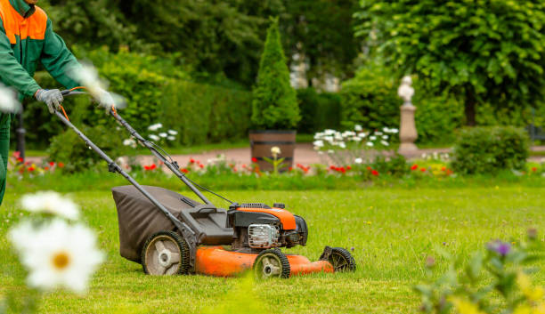 Cómo preparar su jardín para la primavera