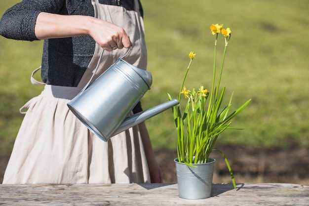 Descubre cómo el riego por goteo transforma tu jardín en un oasis eficiente