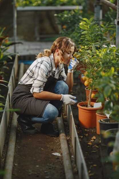 Descubre cómo el riego por goteo transforma tu jardín en un oasis eficiente